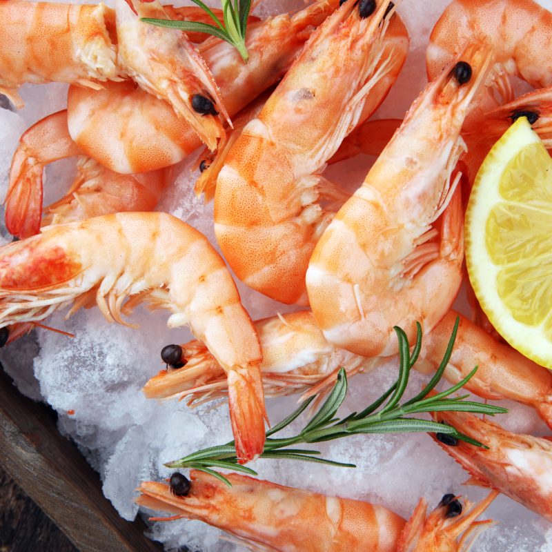 Raw fresh Prawns Langostino Austral. shrimp seafood with lemon and spices